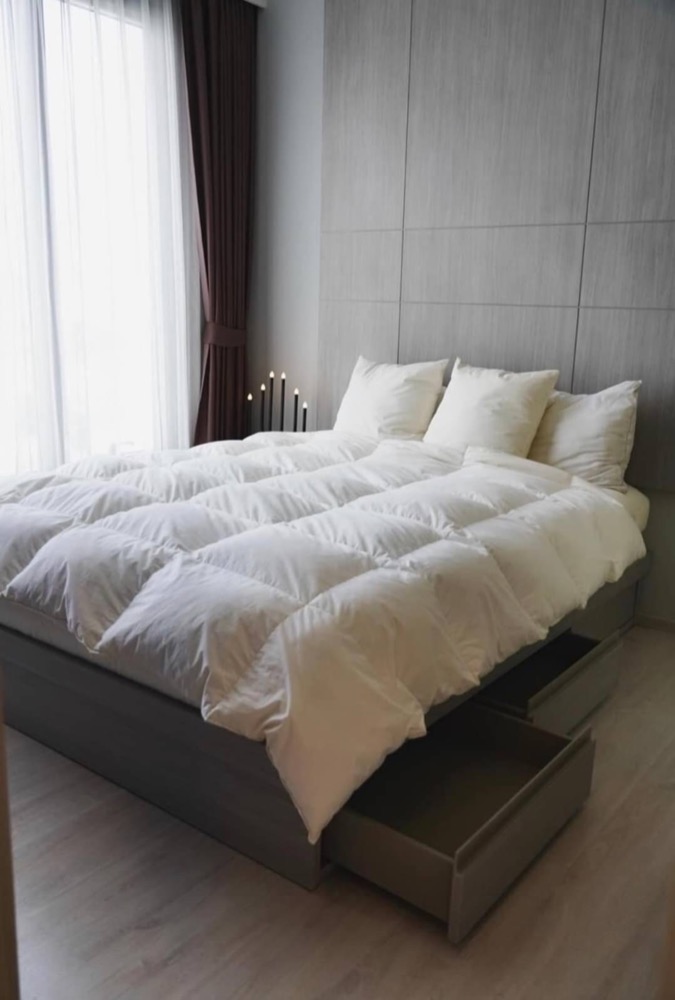 ให้เช่าคอนโดสุขุมวิท อโศก ทองหล่อ : Pet-friendly for rent M Thonglor 1 bedroom corner unit