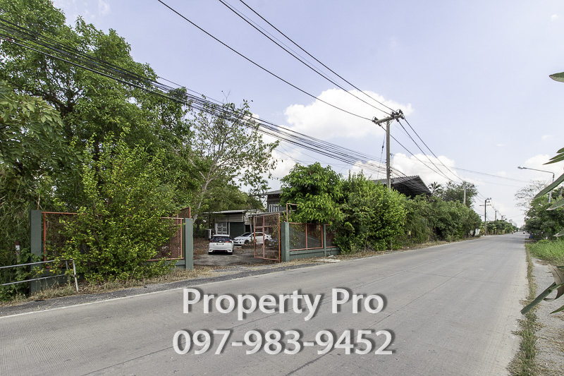 ขายที่ดินปทุมธานี รังสิต ธรรมศาสตร์ : ขาย ที่ดิน พร้อมสิ่งปลูกสร้าง สามโคก ปทุมธานี 14 ไร่ 3 งาน 55 ตารางวา ติดถนน ใกล้เทศบาลตำบลสามโคก : EL24S-027