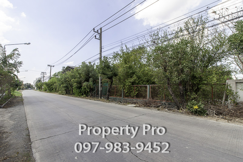 ขายที่ดินปทุมธานี รังสิต ธรรมศาสตร์ : ขาย ที่ดิน พร้อมสิ่งปลูกสร้าง สามโคก ปทุมธานี 14 ไร่ 3 งาน 55 ตารางวา ติดถนน ใกล้เทศบาลตำบลสามโคก : EL24S-027