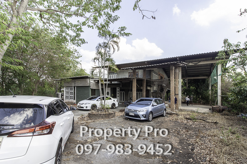 ขายที่ดินปทุมธานี รังสิต ธรรมศาสตร์ : ขาย ที่ดิน พร้อมสิ่งปลูกสร้าง สามโคก ปทุมธานี 14 ไร่ 3 งาน 55 ตารางวา ติดถนน ใกล้เทศบาลตำบลสามโคก : EL24S-027