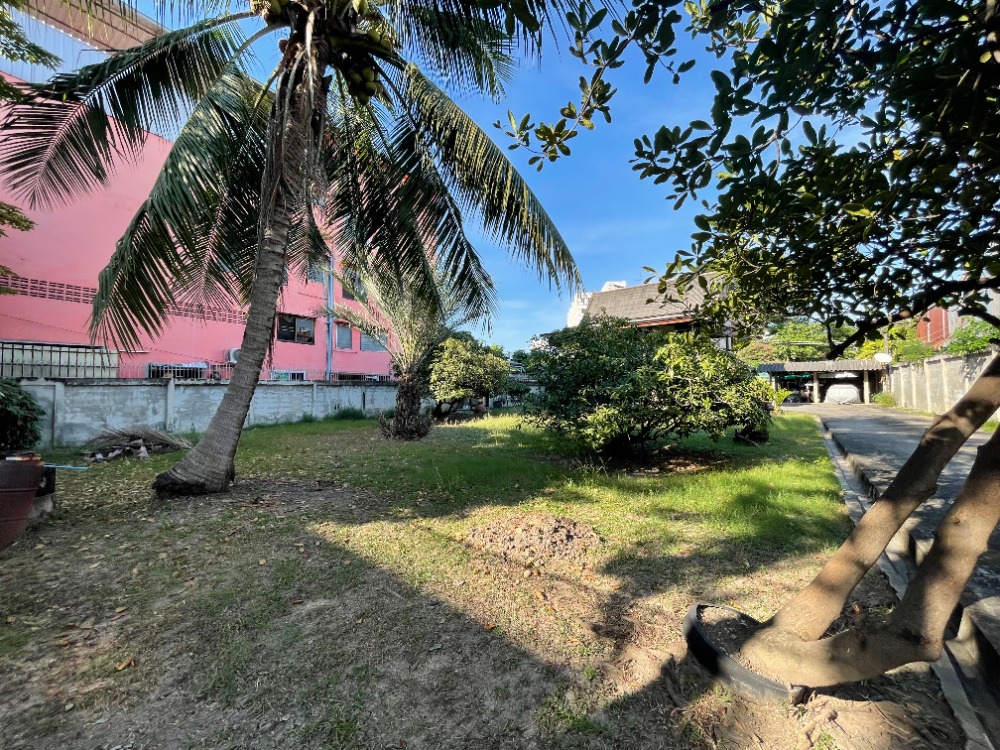 For SaleLandRatchadapisek, Huaikwang, Suttisan : Land Sutthisarn / 2 ngan 51 square wa (for sale), Land Sutthisarn / 1,004 Sqm (FOR SALE) NUB478