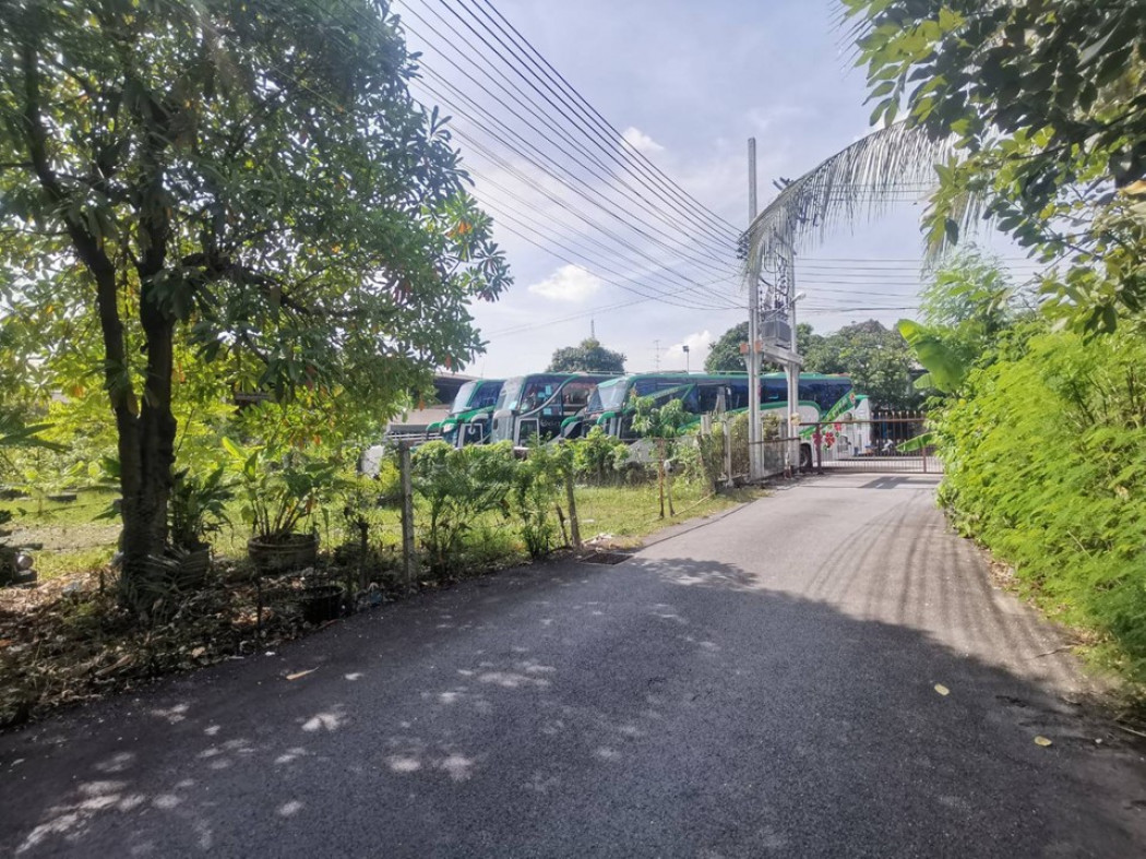 ขายที่ดินนนทบุรี บางใหญ่ บางบัวทอง : ขาย ที่ดิน ซอยแจ้งวัฒนะ-ปากเกร็ด 30 มบกฤษดานคร 226.3 ตร.วา ตรงข้ามเมืองทองธานี เหมาะสร้างโฮมออฟฟิศ คอนโด อพาร์ทเม้นท์