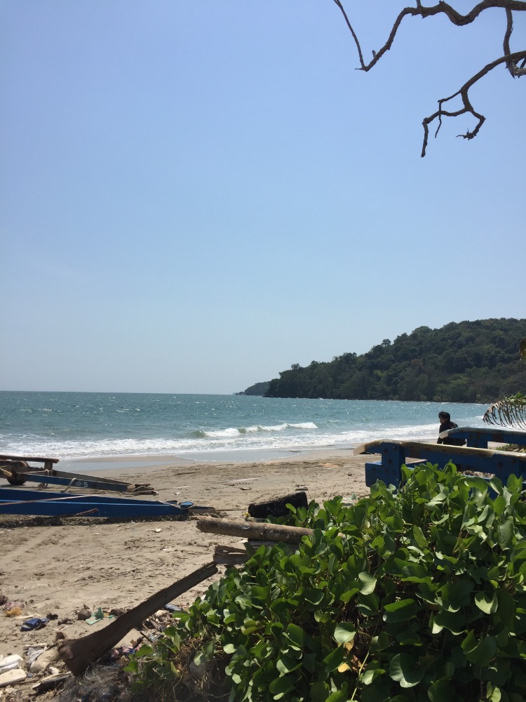 For RentLandRayong : Land for rent next to the beach, very nice view, near marriot, Rayong.