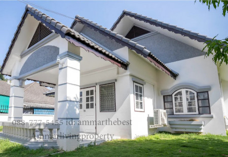 ขายบ้านเชียงใหม่ : ขาย บ้านเดี่ยวใกล้ ร.ร. มงฟอร์ต ชั้นเดียว 3 ห้องนอน 103 ตรว มงฟอร์ตวิลล่า ท่าศาลา เมืองเชียงใหม่ (ALP-H-2007001)