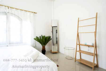 ขายบ้านเชียงใหม่ : ขาย บ้านเดี่ยวใกล้ ร.ร. มงฟอร์ต ชั้นเดียว 3 ห้องนอน 103 ตรว มงฟอร์ตวิลล่า ท่าศาลา เมืองเชียงใหม่ (ALP-H-2007001)