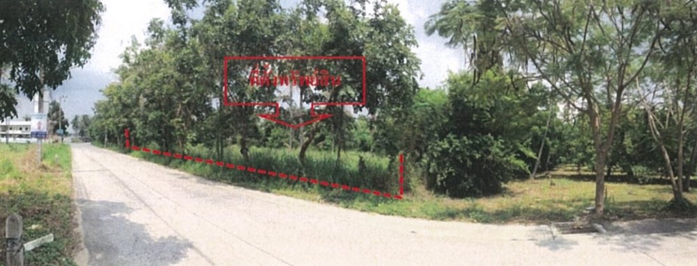 ขายที่ดินพัทยา บางแสน ชลบุรี สัตหีบ : ขายที่ดินเปล่า ต.หนองรี อ.เมือง จ.ชลบุรี