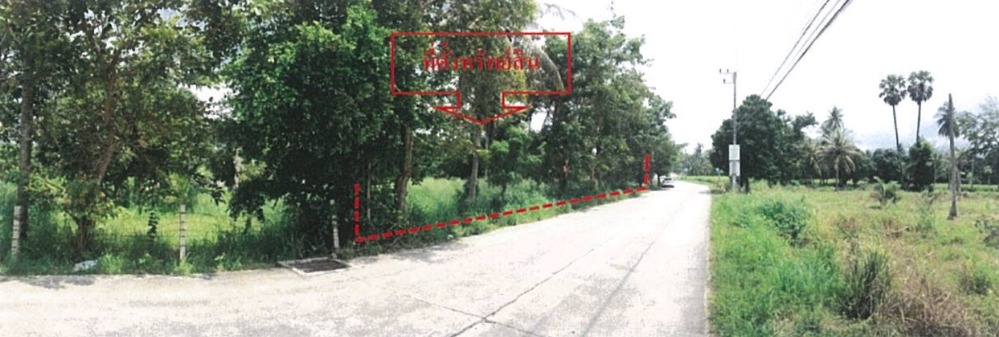 ขายที่ดินพัทยา บางแสน ชลบุรี สัตหีบ : ขายที่ดินเปล่า ต.หนองรี อ.เมือง จ.ชลบุรี