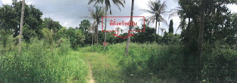 ขายที่ดินพัทยา บางแสน ชลบุรี สัตหีบ : ขายที่ดินเปล่า ต.หนองรี อ.เมือง จ.ชลบุรี