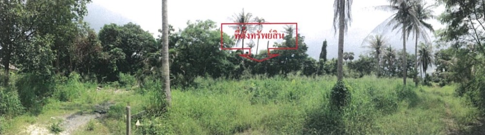 ขายที่ดินพัทยา บางแสน ชลบุรี สัตหีบ : ขายที่ดินเปล่า ต.หนองรี อ.เมือง จ.ชลบุรี