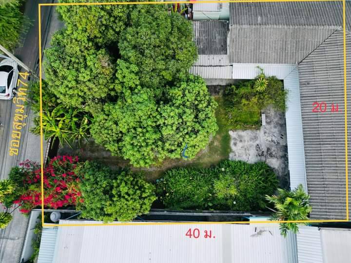 For SaleLandSamut Prakan,Samrong : The most beautiful plot of land, Soi Sukhumvit 74 (Mit Udom 2), Samrong Nuea.