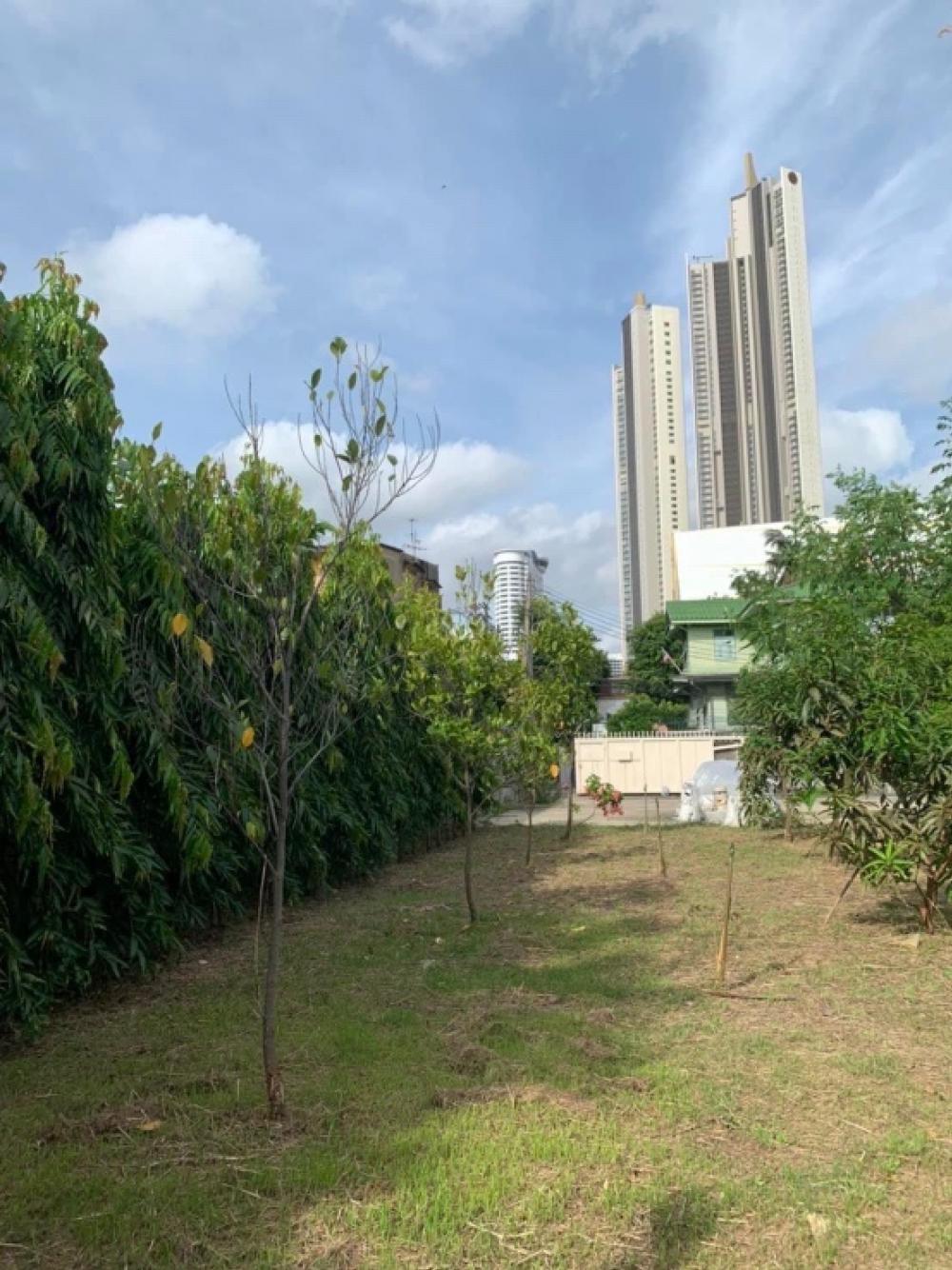 For RentHouseWongwianyai, Charoennakor : House for rent, making a restaurant or living near ICON SIAM, size 300 sq m.