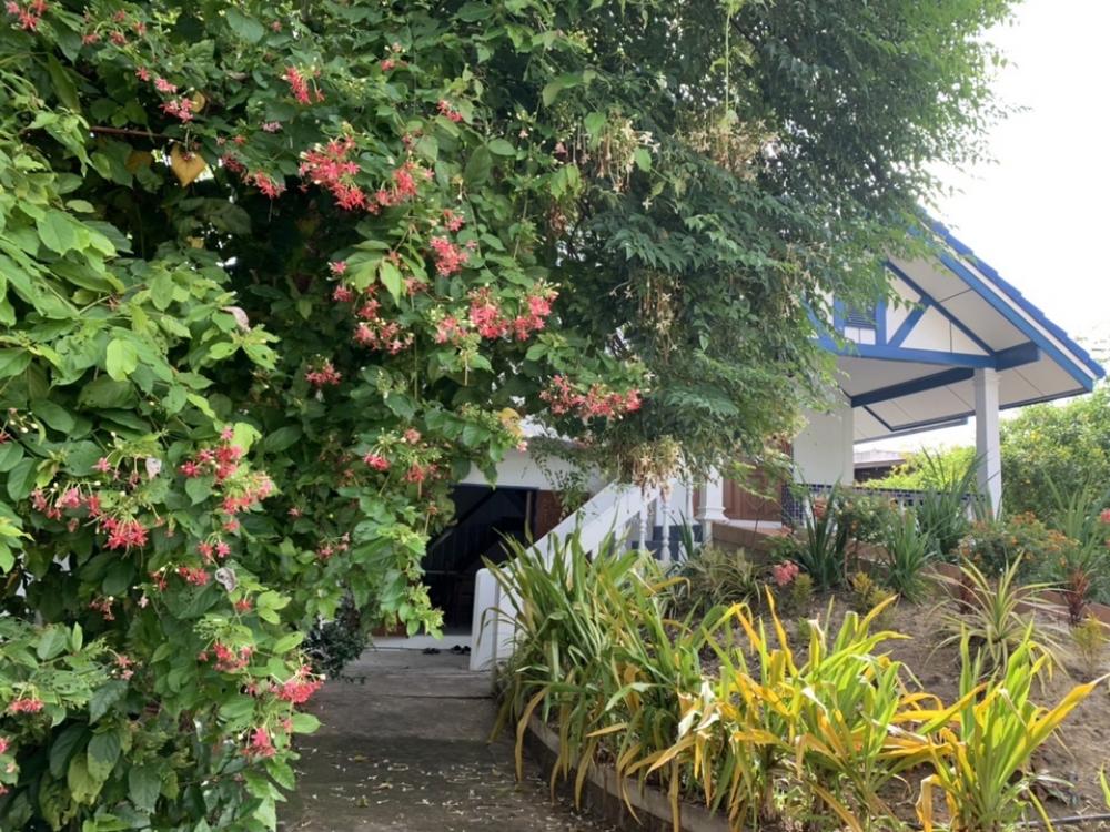 For RentHouseWongwianyai, Charoennakor : House for rent, making a restaurant or living near ICON SIAM, size 300 sq m.