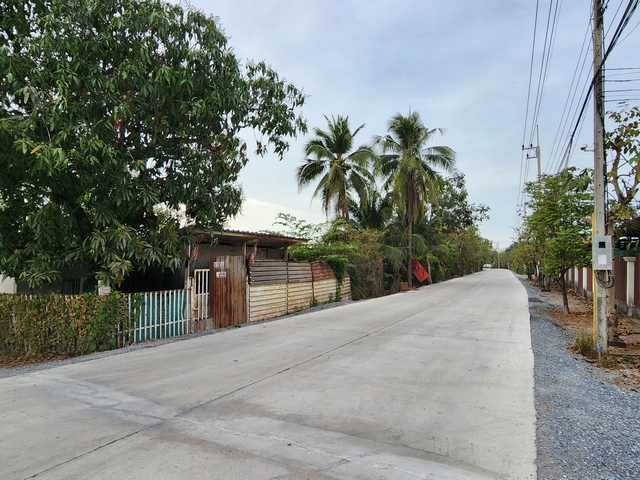 ขายที่ดินพุทธมณฑล ศาลายา : ขายที่ดินเปล่า แปลงมุม ซอยวัดเชิงเลน 9 ไร่ 25 ตรว หน้ากว้าง 148 เมตร ใกล้ถนนเพชรเกษม เพียง 4.9 กม