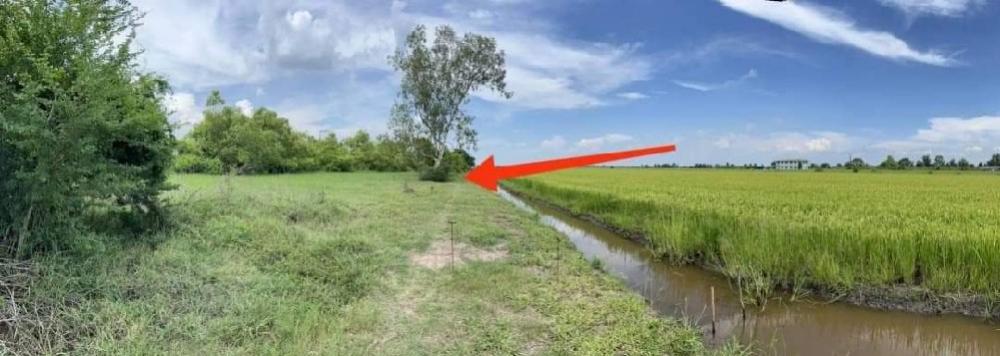For SaleLandChachoengsao : Good location land for sale Bang Nam Priao, Chachoengsao