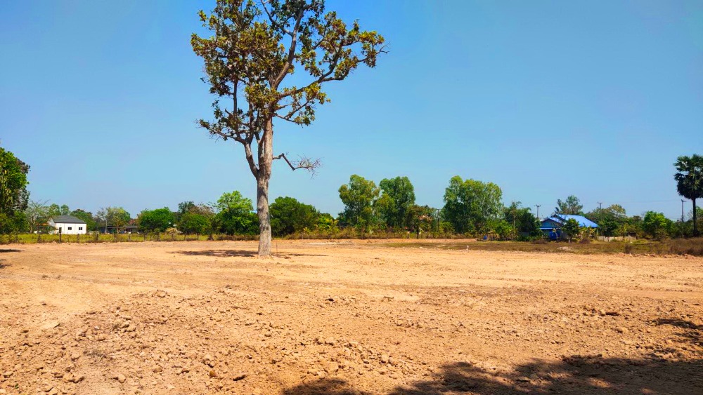 ขายที่ดินอุบลราชธานี : ขายที่ดินเปล่า เนื้อที่ 1-1-19 ไร่ เขตเทศบาล อำเภอวารินชำราบ อุบลราชธานี ใกล้แม็คโคร