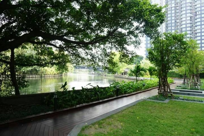 ให้เช่าคอนโดอ่อนนุช อุดมสุข : Blocs 77, 40sqm Horizon view, Pool view, Fully furnished, One Bedroom condo for rent at Blocs 77