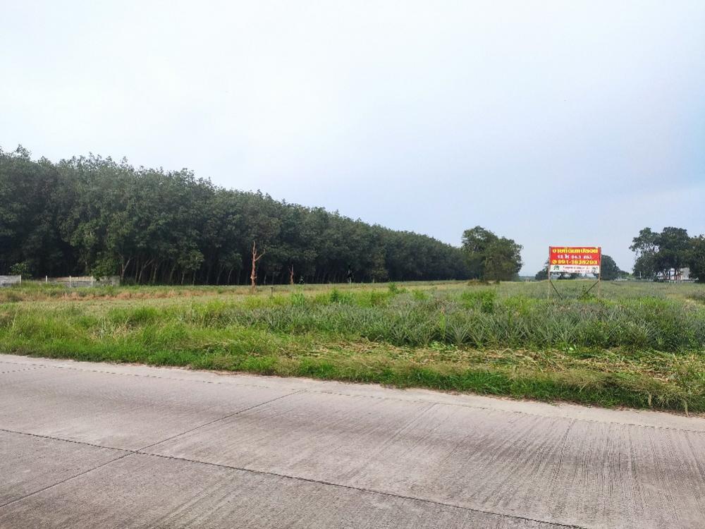 For SaleLandRayong : Land for sale, Khu Khu Soi 4, Pluak Daeng, Rayong Province #EEC area