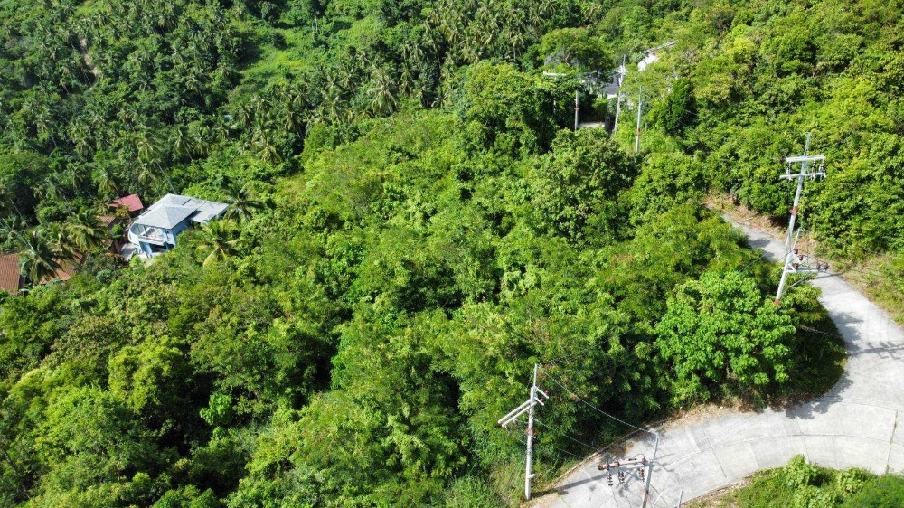 For SaleLandKoh Samui, Surat Thani : 2 rai of land for sale on Koh Samui