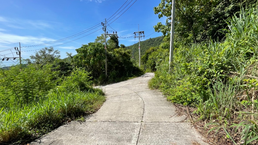 For SaleLandKoh Samui, Surat Thani : 2 rai of land for sale on Koh Samui