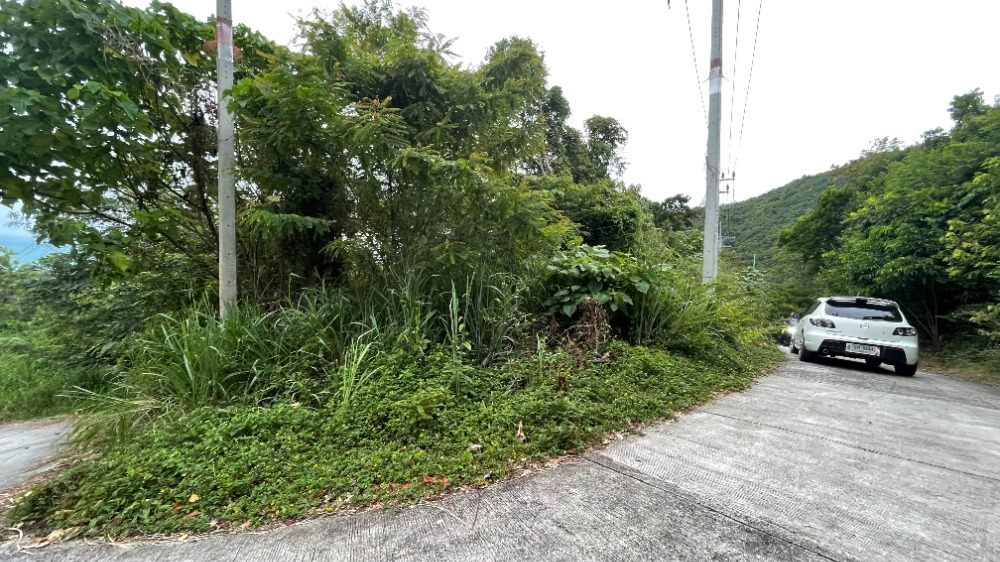 For SaleLandKoh Samui, Surat Thani : 2 rai of land for sale on Koh Samui