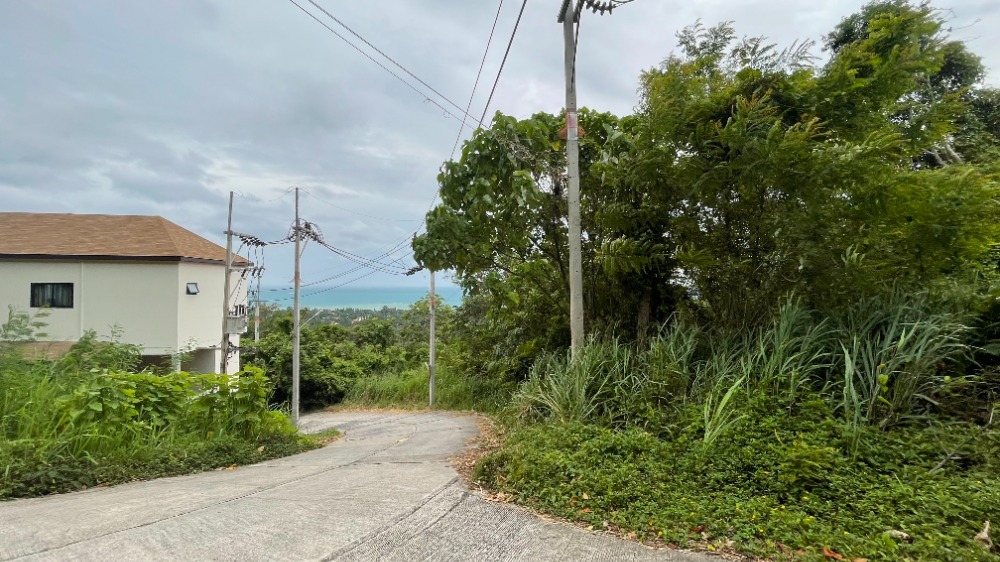 For SaleLandKoh Samui, Surat Thani : 2 rai of land for sale on Koh Samui