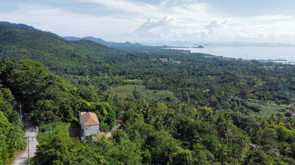 For SaleLandKoh Samui, Surat Thani : 2 rai of land for sale on Koh Samui