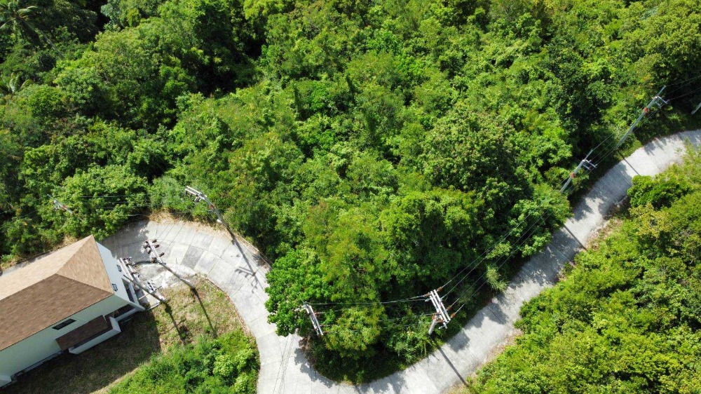 For SaleLandKoh Samui, Surat Thani : 2 rai of land for sale on Koh Samui