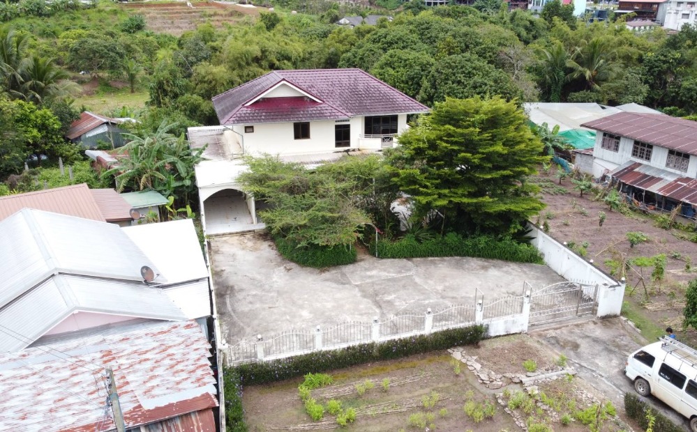 ขายบ้านเพชรบูรณ์ : ขายบ้านเดี่ยว 3 ห้องนอน/ห้องน้ำ  ตำบลแคมป์สน อำเภอเขาค้อ จังหวัดเพชรบูรณ์  2 งาน 34.30  ตร.ว