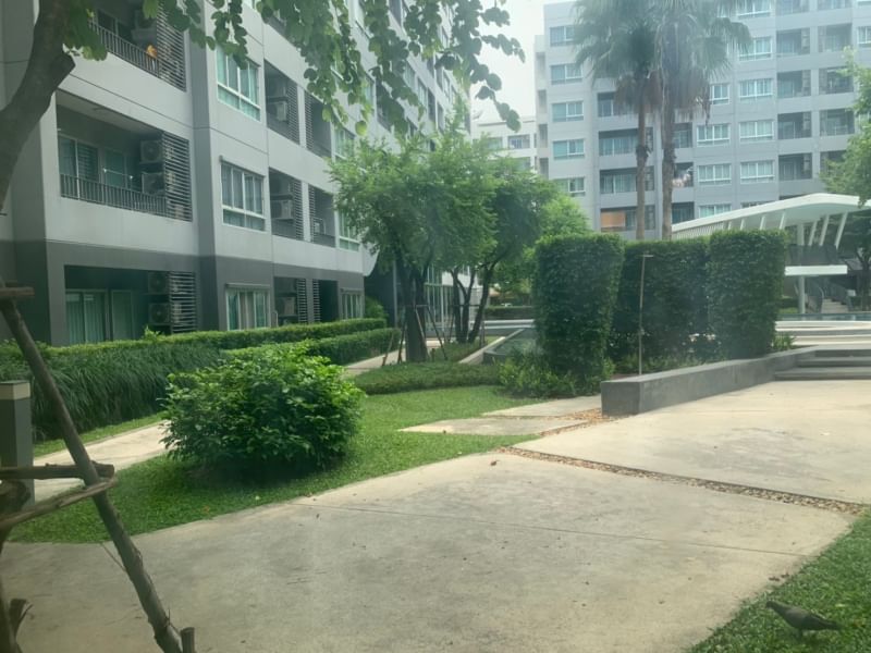 ขายคอนโดอ่อนนุช อุดมสุข : ขาย เอลลิโอ เดล เรย์ (ซ.สุขุมวิท 64) เลขที่ 95/707(ขายพร้อมผู้เช่า)