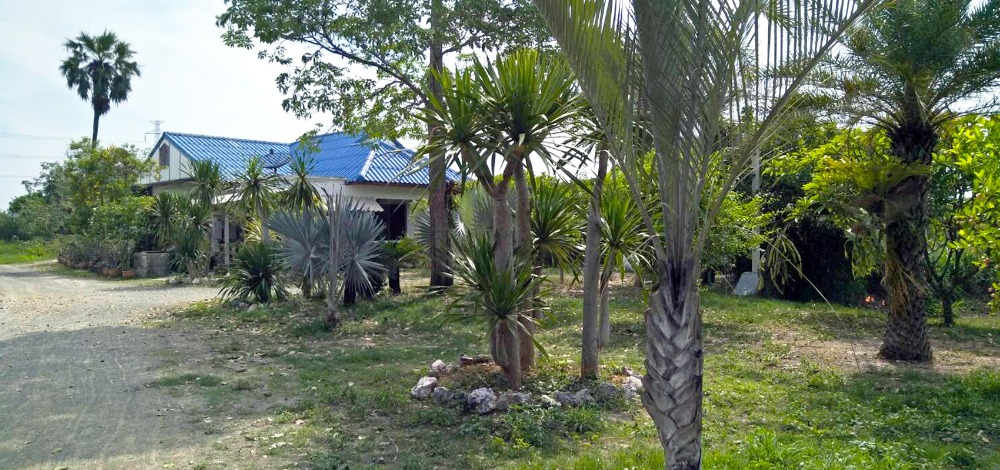 ขายที่ดินหัวหิน ประจวบคีรีขันธ์ : ขายที่ดินพร้อมสิ่งปลูกสร้าง 1 แปลง ขนาด 3 ไร่ 1 งาน 26.70 ตารางวา ติดถนนหนองยิงหมี ตำบลเขาน้อย  อำเภอปราณบุรี จังหวัดประจวบคีรีขันธ์