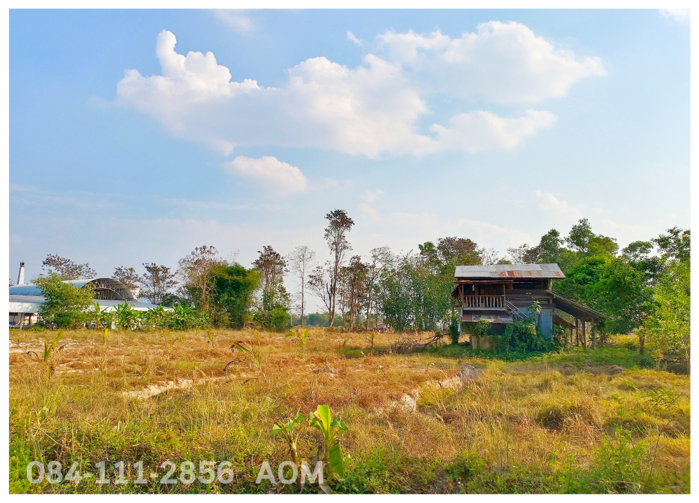 For SaleLandChiang Rai : Selling very cheaply!! Land 5-2-57 rai near Huay Sak Wittayakhom School Way to Rai Cherntawan, Chiang Rai Province