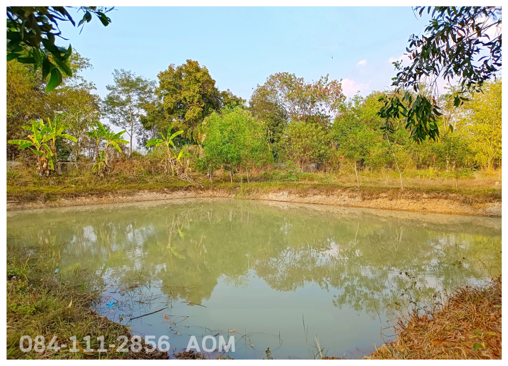 For SaleLandChiang Rai : Selling very cheaply!! Land 5-2-57 rai near Huay Sak Wittayakhom School Way to Rai Cherntawan, Chiang Rai Province