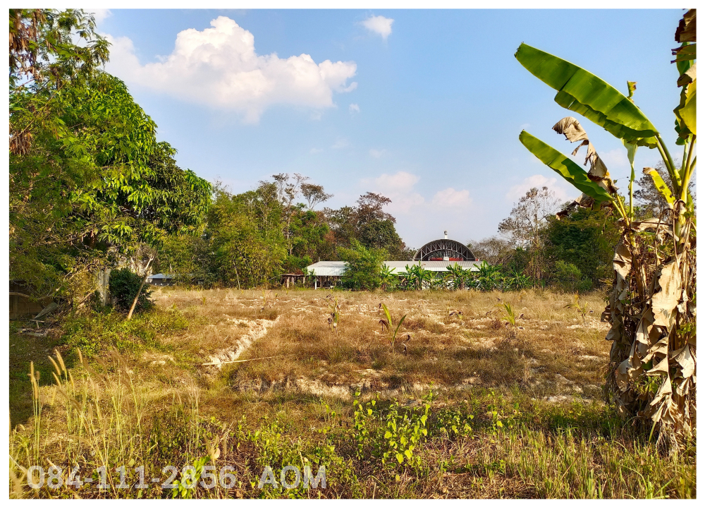 For SaleLandChiang Rai : Selling very cheaply!! Land 5-2-57 rai near Huay Sak Wittayakhom School Way to Rai Cherntawan, Chiang Rai Province