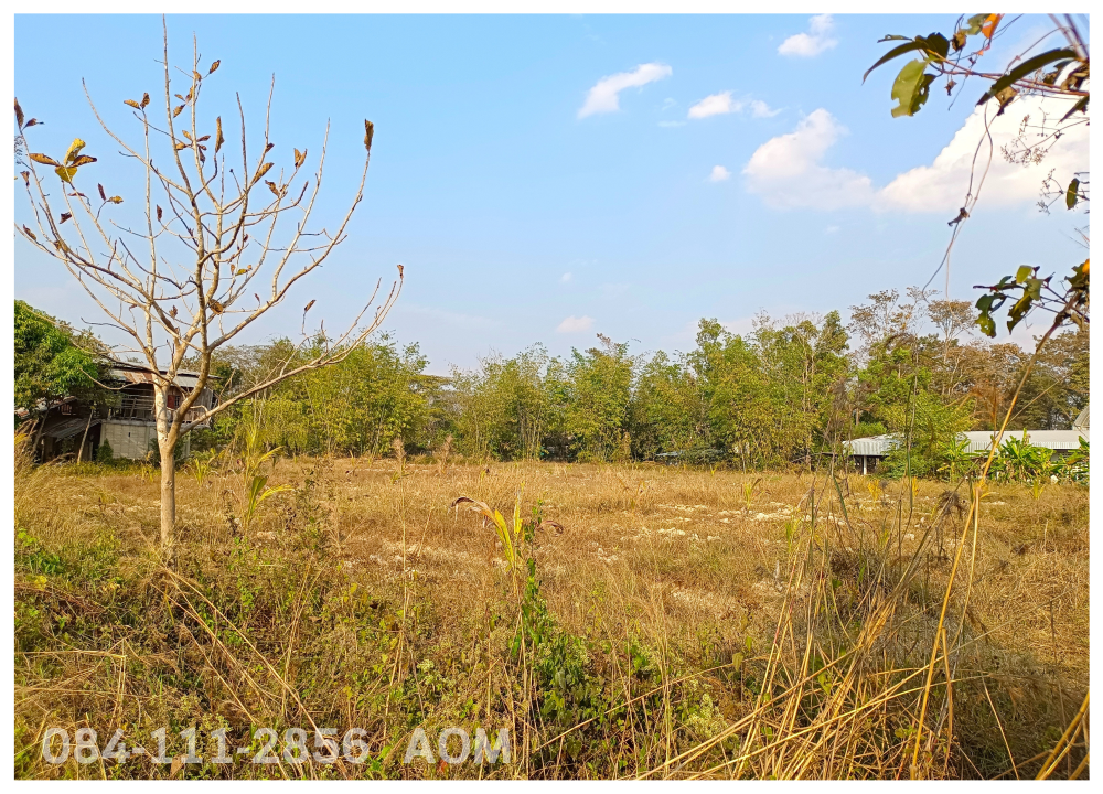 For SaleLandChiang Rai : Selling very cheaply!! Land 5-2-57 rai near Huay Sak Wittayakhom School Way to Rai Cherntawan, Chiang Rai Province