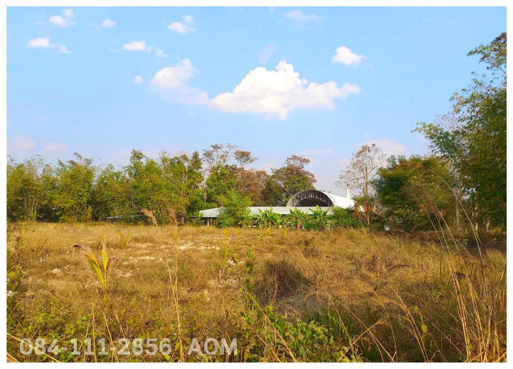 For SaleLandChiang Rai : Selling very cheaply!! Land 5-2-57 rai near Huay Sak Wittayakhom School Way to Rai Cherntawan, Chiang Rai Province