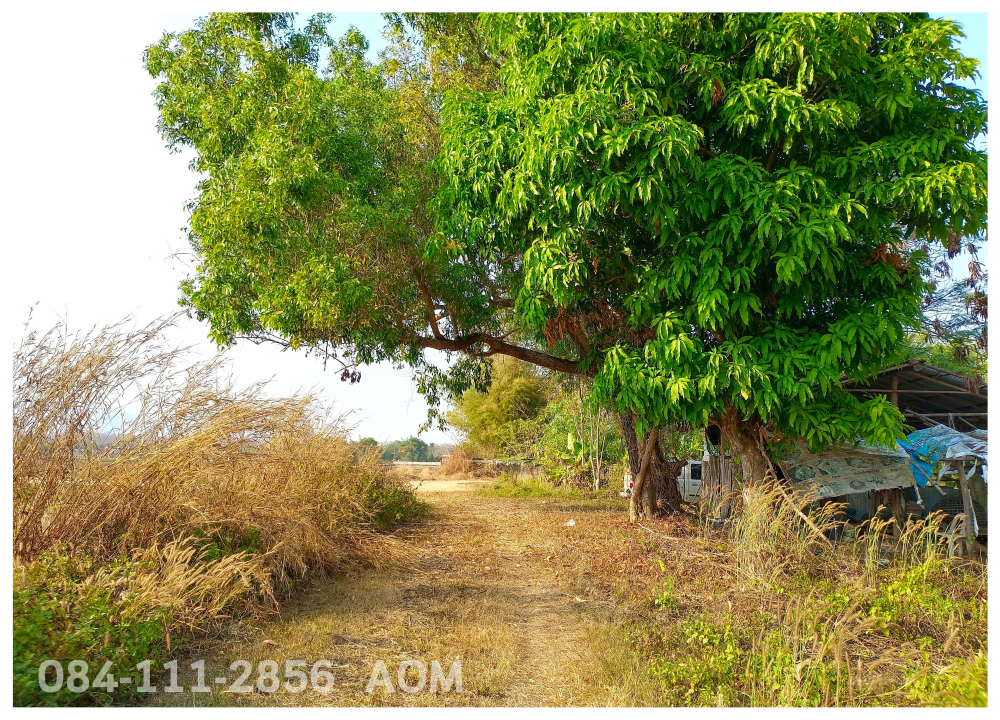 For SaleLandChiang Rai : Selling very cheaply!! Land 5-2-57 rai near Huay Sak Wittayakhom School Way to Rai Cherntawan, Chiang Rai Province