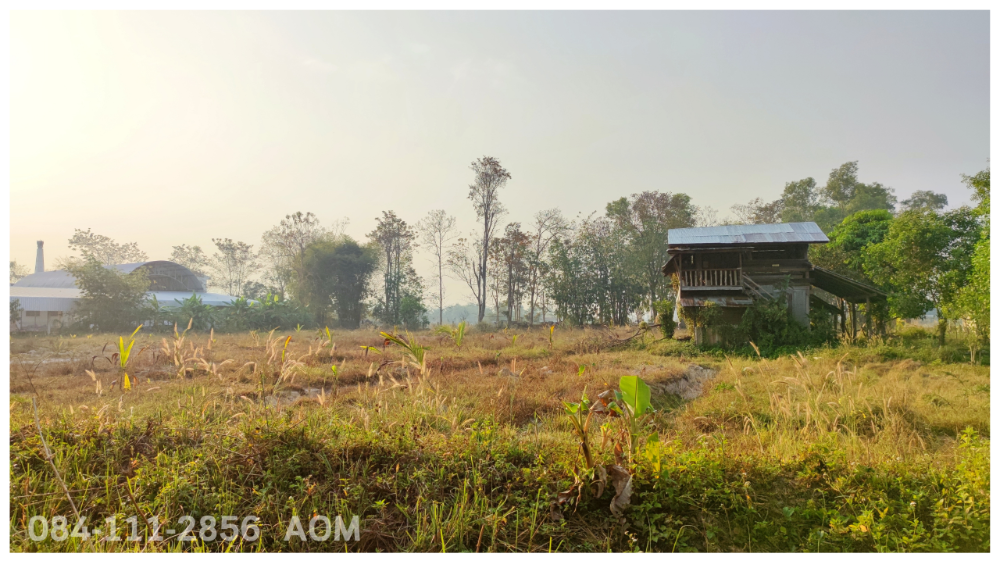 For SaleLandChiang Rai : Selling very cheaply!! Land 5-2-57 rai near Huay Sak Wittayakhom School Way to Rai Cherntawan, Chiang Rai Province