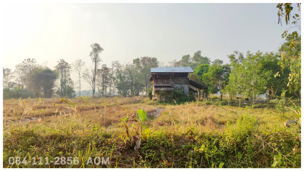 For SaleLandChiang Rai : Selling very cheaply!! Land 5-2-57 rai near Huay Sak Wittayakhom School Way to Rai Cherntawan, Chiang Rai Province