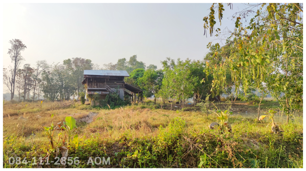 For SaleLandChiang Rai : Selling very cheaply!! Land 5-2-57 rai near Huay Sak Wittayakhom School Way to Rai Cherntawan, Chiang Rai Province