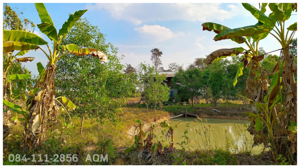 For SaleLandChiang Rai : Selling very cheaply!! Land 5-2-57 rai near Huay Sak Wittayakhom School Way to Rai Cherntawan, Chiang Rai Province