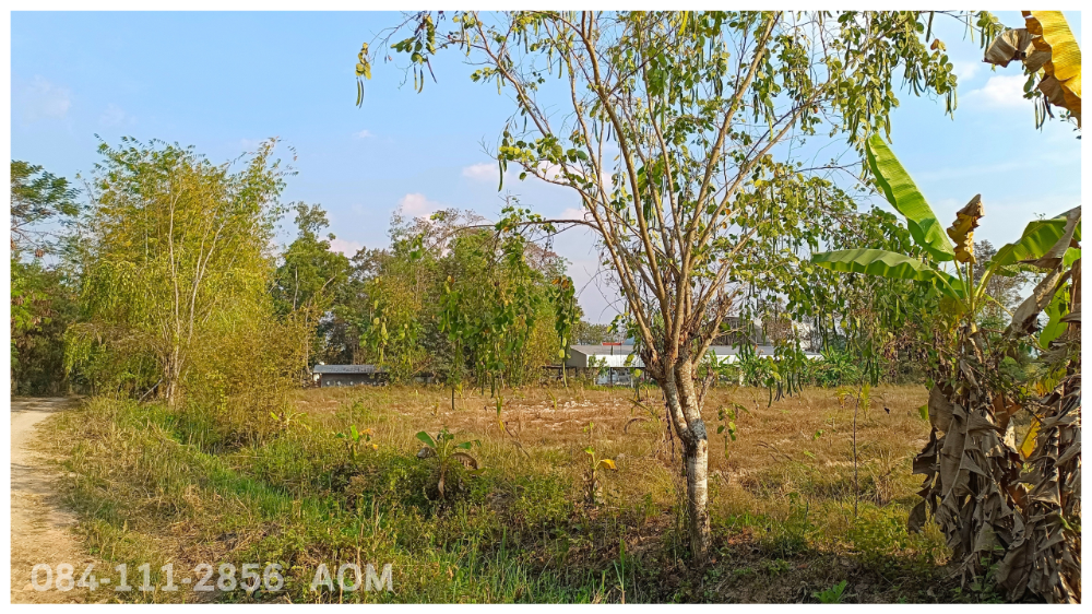 For SaleLandChiang Rai : Selling very cheaply!! Land 5-2-57 rai near Huay Sak Wittayakhom School Way to Rai Cherntawan, Chiang Rai Province