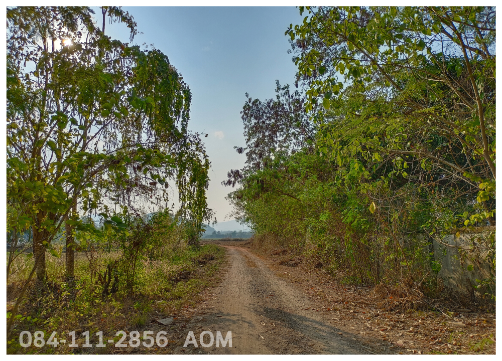 For SaleLandChiang Rai : Selling very cheaply!! Land 5-2-57 rai near Huay Sak Wittayakhom School Way to Rai Cherntawan, Chiang Rai Province