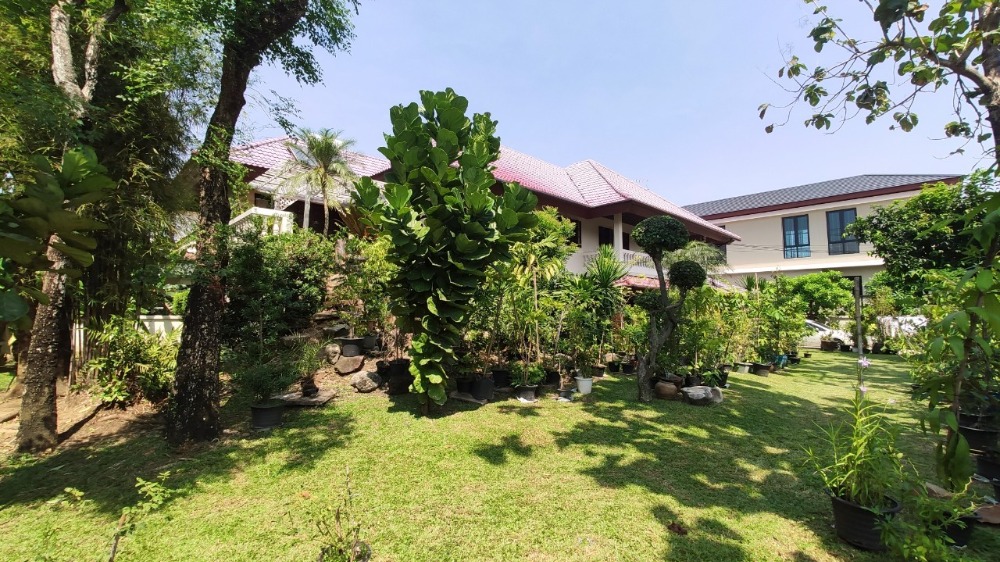 ขายบ้านพุทธมณฑล ศาลายา : ขาย บ้านเดี่ยว 2 ชั้น 216 ตารางวา หมู่บ้าน กฤษดานคร 18 ติดถนนพุทธมณฑลสาย 3 แขวงศาลาธรรมสพน์ เขตทวีวัฒนา กรุงเทพมหานคร