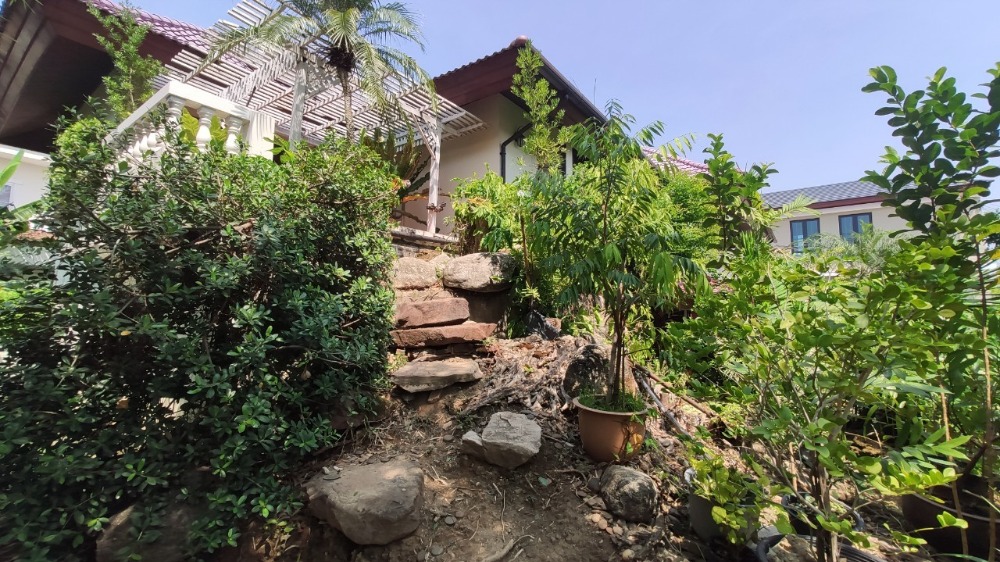 ขายบ้านพุทธมณฑล ศาลายา : ขาย บ้านเดี่ยว 2 ชั้น 216 ตารางวา หมู่บ้าน กฤษดานคร 18 ติดถนนพุทธมณฑลสาย 3 แขวงศาลาธรรมสพน์ เขตทวีวัฒนา กรุงเทพมหานคร