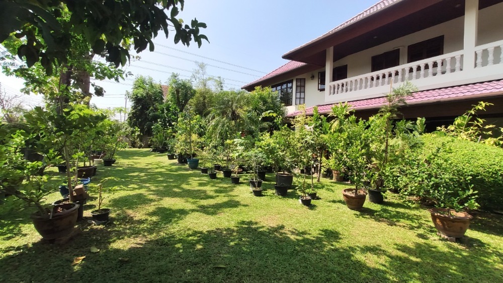 ขายบ้านพุทธมณฑล ศาลายา : ขาย บ้านเดี่ยว 2 ชั้น 216 ตารางวา หมู่บ้าน กฤษดานคร 18 ติดถนนพุทธมณฑลสาย 3 แขวงศาลาธรรมสพน์ เขตทวีวัฒนา กรุงเทพมหานคร