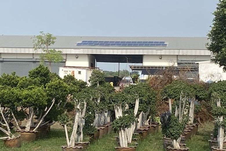 ขายที่ดินอยุธยา : ขายที่ดิน พร้อมอาคารสำนักงาน 3 ชั้น และ โกดังสินค้า 3 หลัง บนที่ดิน  9-3-81 ไร่  ต.บ้านเกาะ พระนครศรีอยุธยา  ขายรวม 115 ลบ.*