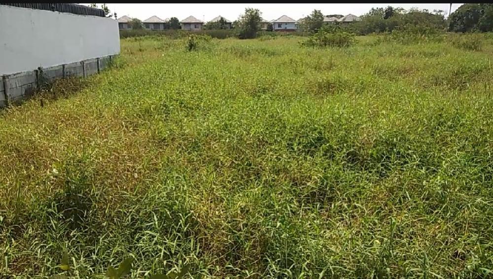 For SaleLandPathum Thani,Rangsit, Thammasat : Empty land near Wat Phra Dhammakaya, Khlong Nueng, 216 sq m., Soi Thep Kunchorn 1, red layout.