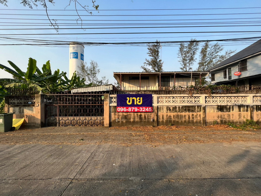 ขายที่ดินวิภาวดี ดอนเมือง หลักสี่ : ขายถูก ที่ดิน 131 ตรว หมู่บ้านการไฟฟ้าภูมิภาค นิเวศน์ 2 ประชาชื่น 14 แปลงสี่เหลี่ยม เหมาะสร้างบ้าน