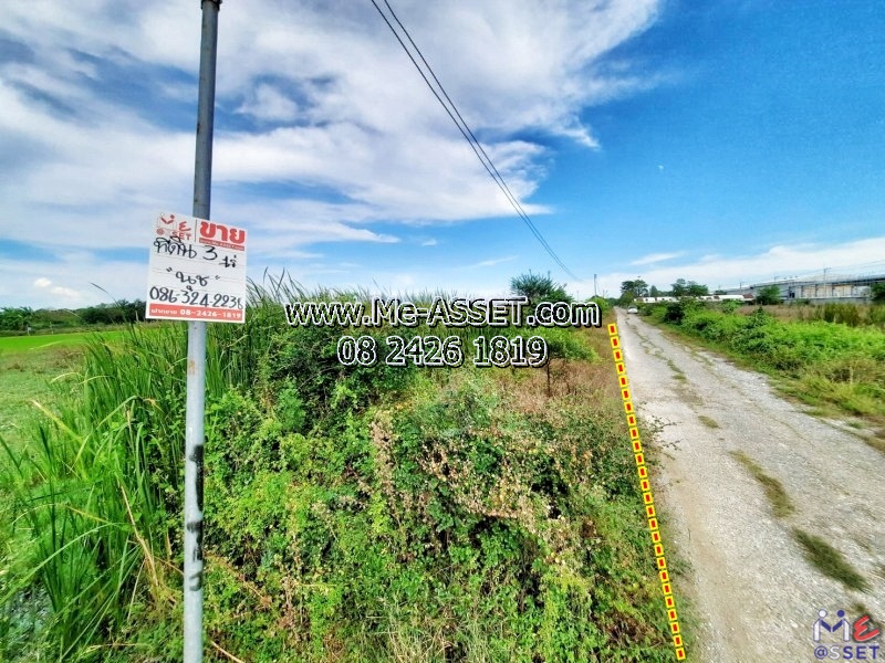 For SaleLandPathum Thani,Rangsit, Thammasat : Empty land for sale in the Bueng Thong Lang area, Lam Luk Ka, Khlong 11: near Kitti Manufacturing Co., Ltd.: 3 rai (1 rai per plot, there are 3 plots next to each other / price per plot / price of each plot is not the same) : CODE NN-91226