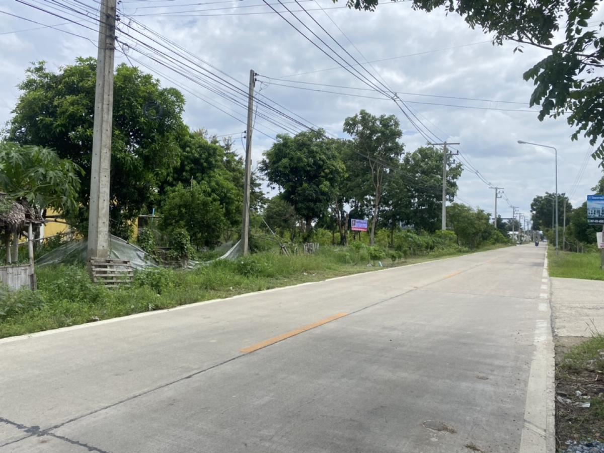 For SaleLandPathum Thani,Rangsit, Thammasat : Vacant Land, Lat Lum Kaeo, Pathum Thani 5 Rai or raised the plot